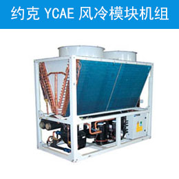 约克YCAE风冷?？榛?></a>
                              </a>
                            </figure>
                            <h5 class=