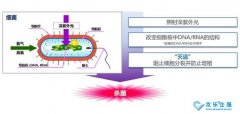 海信中央空调紫光盾杀菌?？樯鲜?，健康技能加