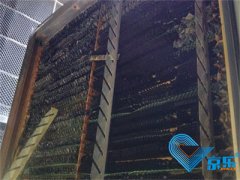 政府大楼空调水泵检修维保方法 维护保养中央空调重要性
